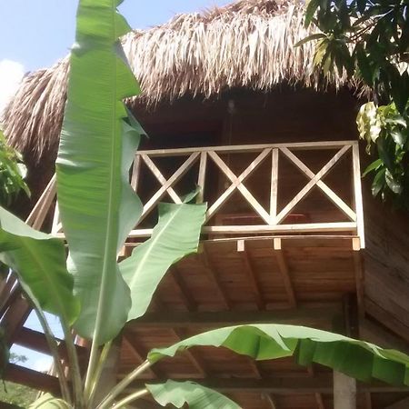 Posadas Ecoturisticas Seineken El Zaino Extérieur photo