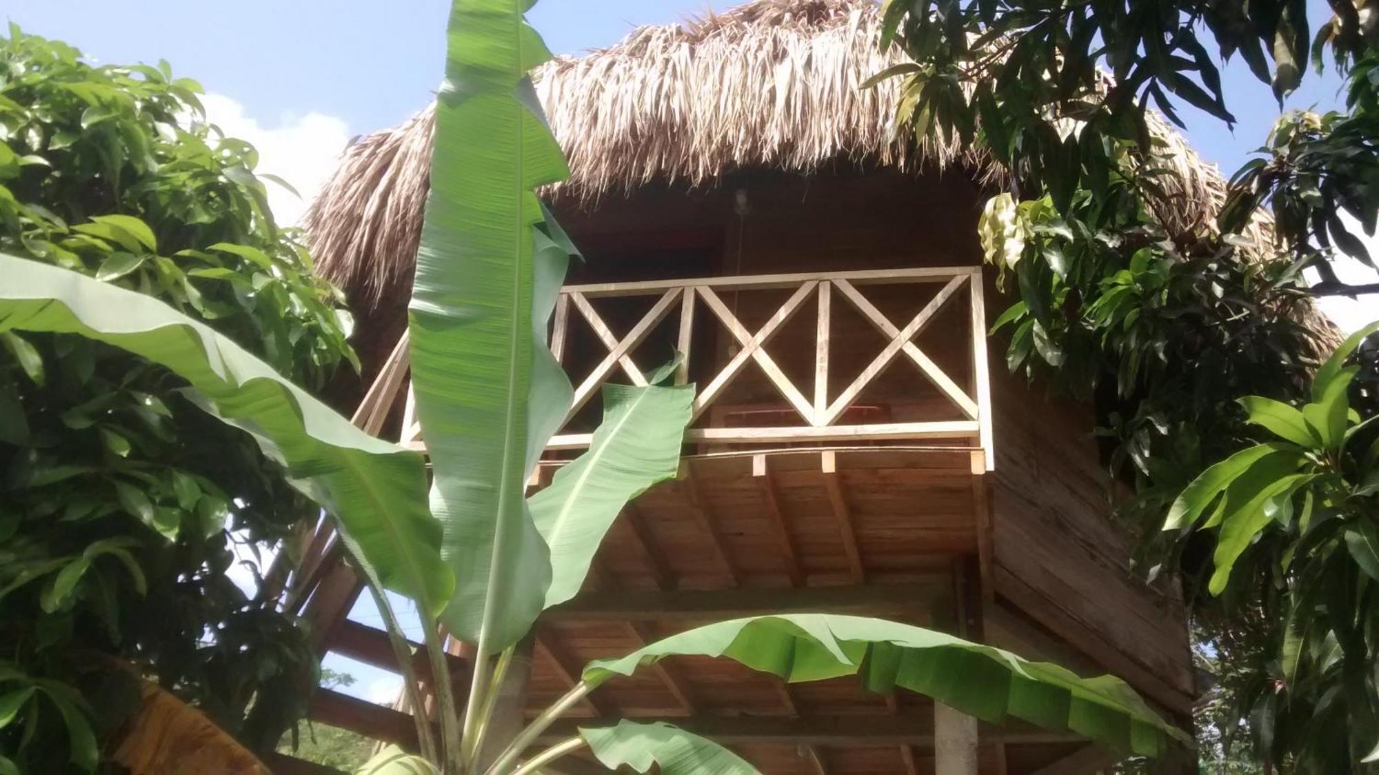 Posadas Ecoturisticas Seineken El Zaino Extérieur photo