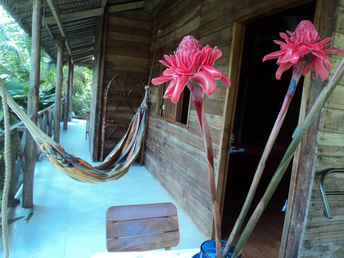 Posadas Ecoturisticas Seineken El Zaino Chambre photo