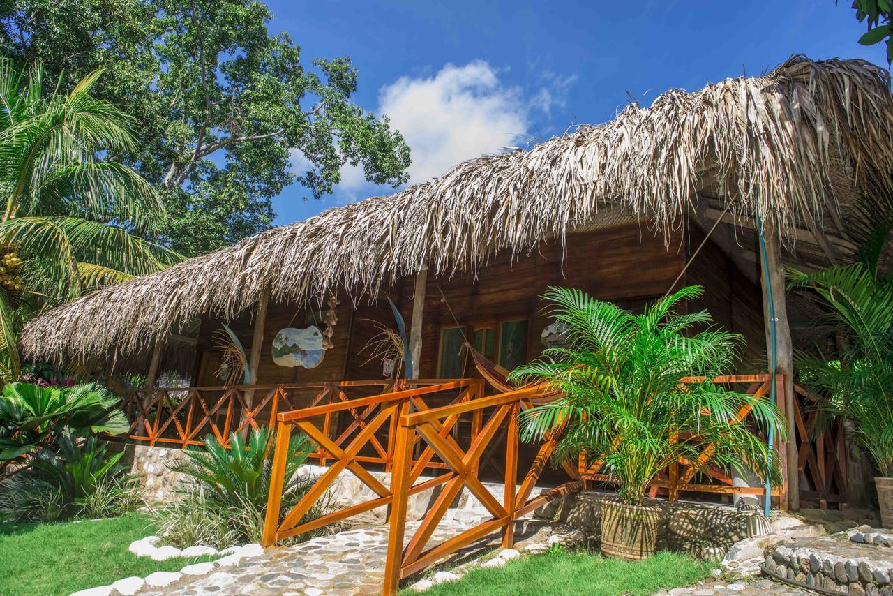 Posadas Ecoturisticas Seineken El Zaino Extérieur photo