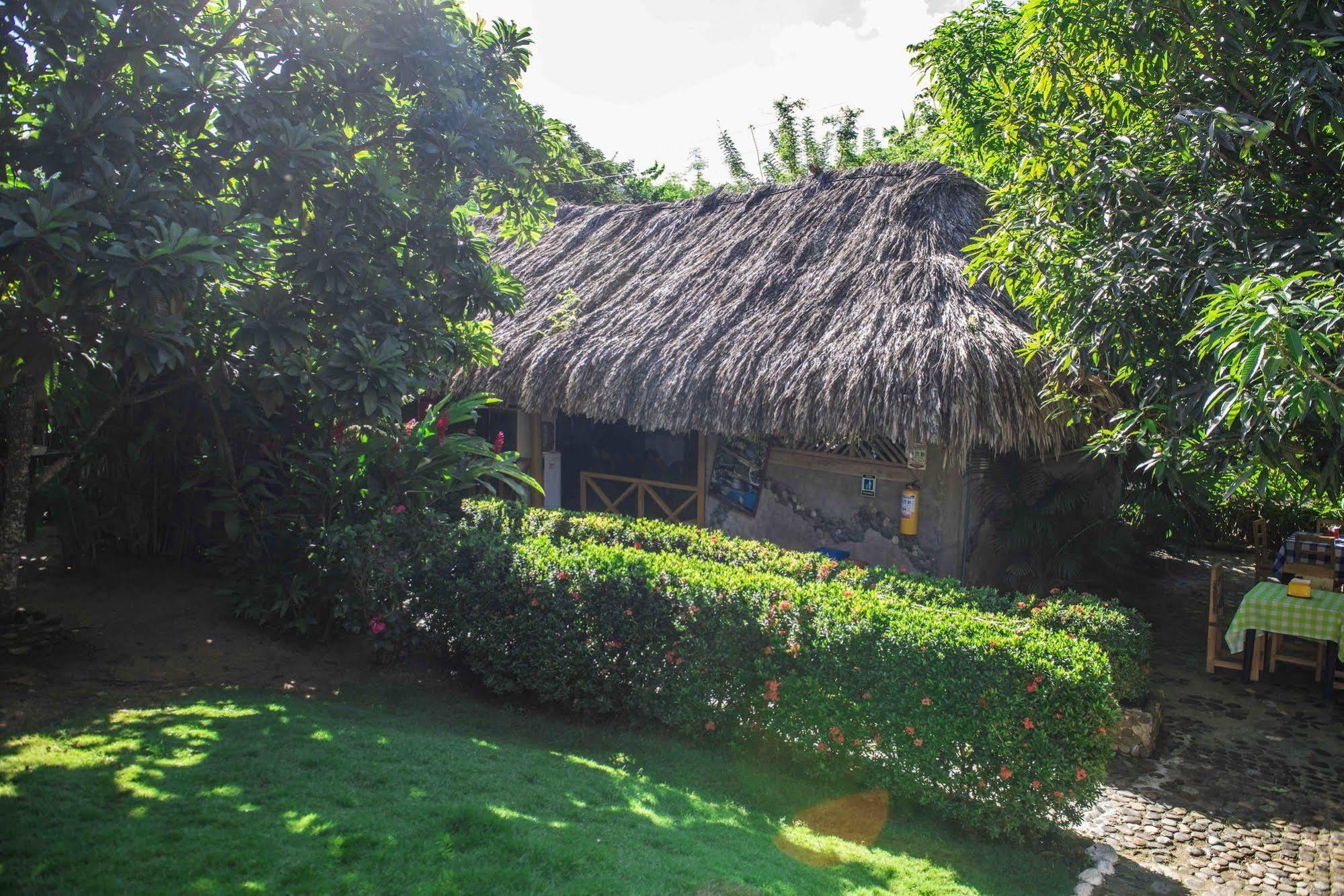 Posadas Ecoturisticas Seineken El Zaino Extérieur photo