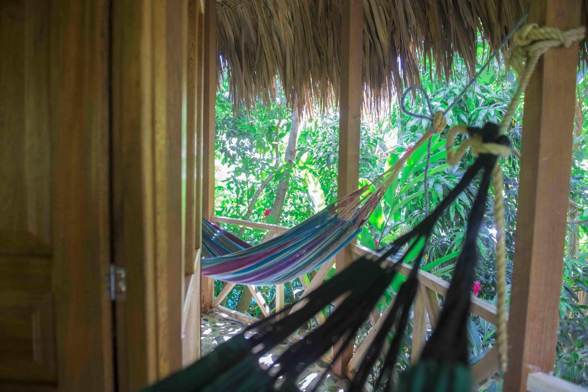 Posadas Ecoturisticas Seineken El Zaino Extérieur photo